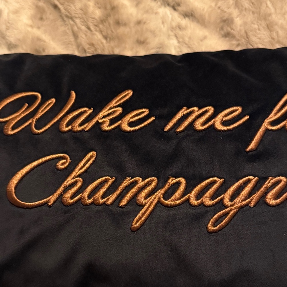 Ted Baker London Wake me up for Champagne 🍾  Navy Velvet Pillow Gold Embroidery - Picture 4 of 6